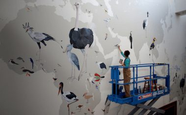 Jane Kim of InkDwell uses Casart custom wallcovering as stencils to paint her 70 x 40 foot bird evolution mural for Cornell University Orinthology Department