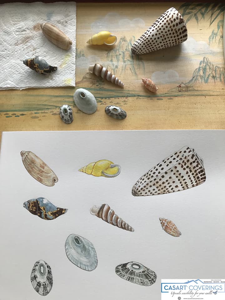 Casart illustrated shells_copyrighted