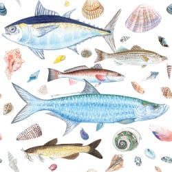 Casart Coverings Shell Fish Natural White Background removable wallpaper